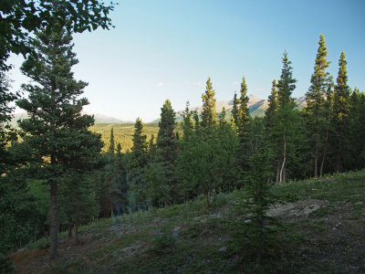 P6225360 - View from Our Healy Heights Cabin, 11 PM.jpg
