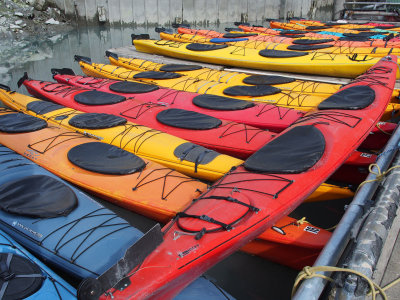 P6255592 - Local Color, Valdez Harbor.jpg