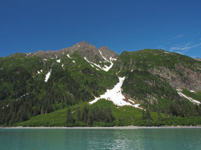 P6255671 - Scenic Beauty, Prince William Sound.jpg