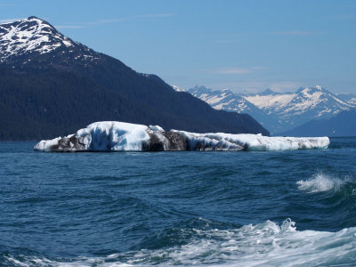 P6255683 - Our First Iceberg Encounter.jpg