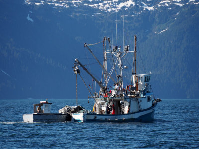 P6256086 - Commercial Fishing in Prince William Sound.jpg