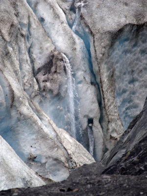 P6266311 - Exit Glacier.jpg
