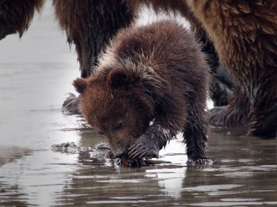 P6297241 - Snack Time.jpg