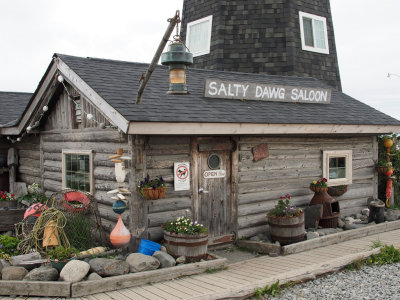 P6308503 - Salty Dawg on the Homer Spit.jpg