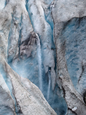 P6266317 - Exit Glacier Detail.jpg