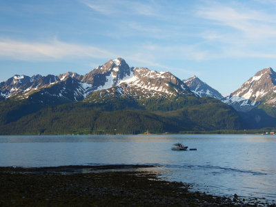 P6266328 - Morning on Resurrection Bay Seward.jpg