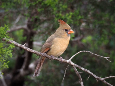 PA301152.jpg