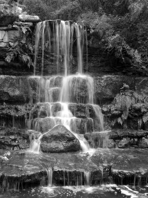 P7199733 - Zilker Falls B&W.jpg