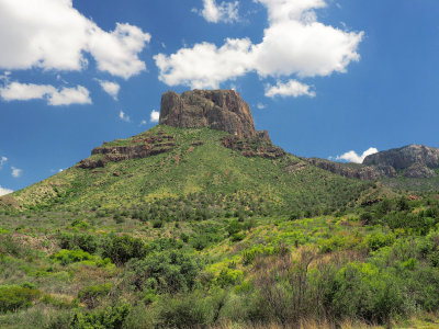 P5041980 - Along the Chisos Basin Road.jpg