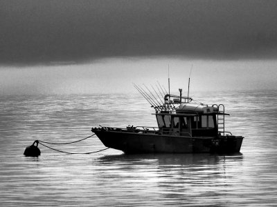 P6286588 - Foggy Morning on Resurrection Bay.jpg