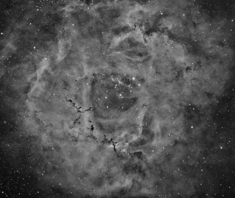 Rosette nebula and NGC2244 open cluster