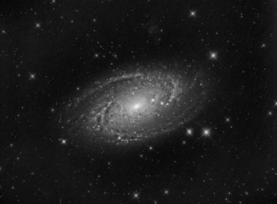 M81