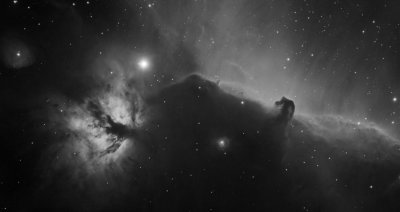 Horse head nebula (IC343)