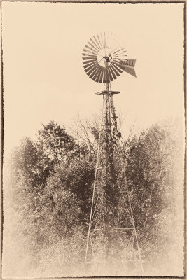 Wind Mill.jpg