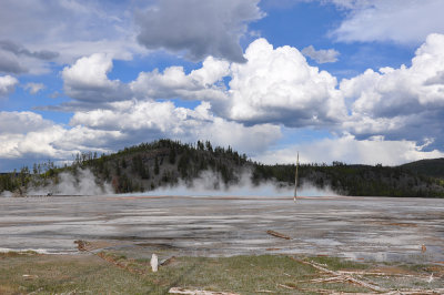 ss60154.jpg