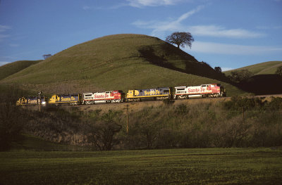 pb40995.jpg