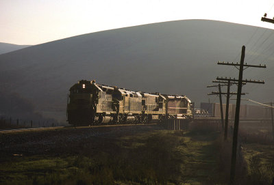 pb29359.jpg