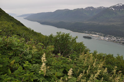 Juneau