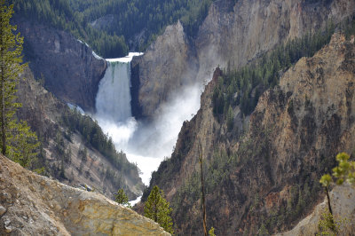 yellowstone
