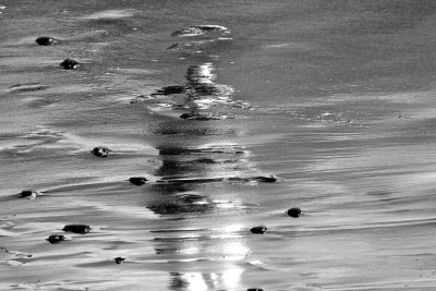 _MG_0162.jpg