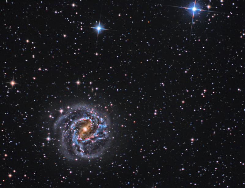 The Springs 2015 Southern pinwheel galaxy