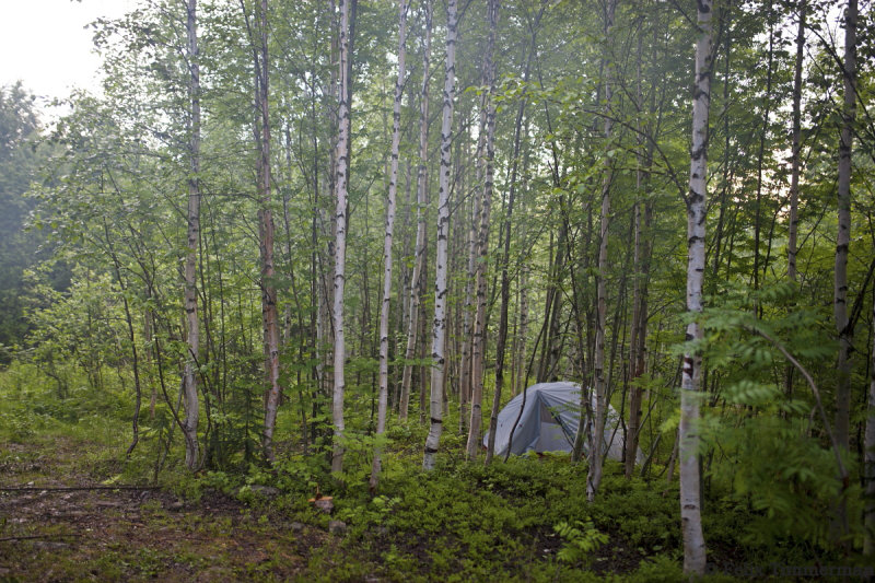 Tent location