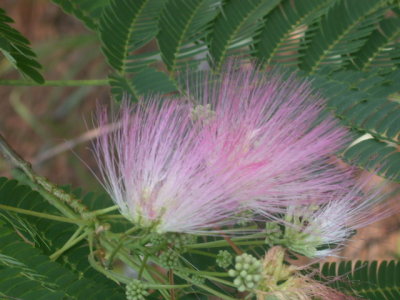 g9/20/1203120/3/162076207.bFCOaRpA.jpg