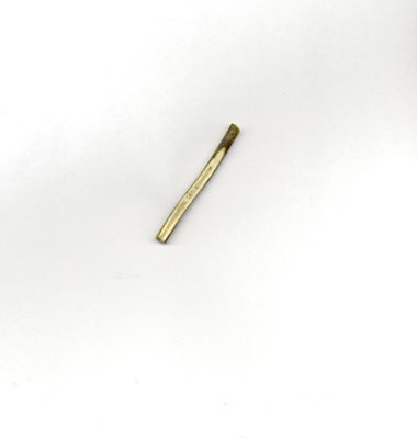 Itea virginica Virginia willow chambered pith.JPG