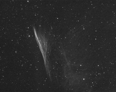 Herschel's Ray ou Pencil Nebula,  version 50%