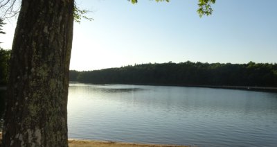 Walden Pond.jpg