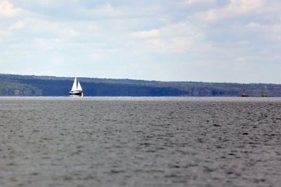 P_8302.jpg