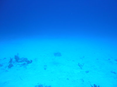g9/20/273920/3/157603630.OGmAmVC3.jpg
