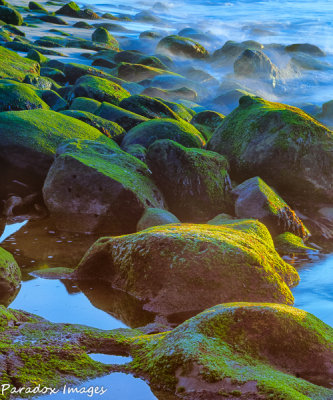 La Jolla Beach Surf (CA)