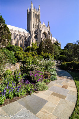 National Cathedral from the garden (DC)