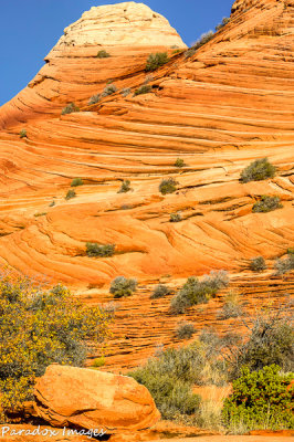 Another one from the hike in to the wave