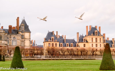 Chateau Fountainebleau