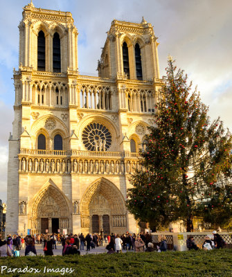 Front of Notre Dame Cathedral