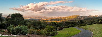 Kirstenbosch Panorama