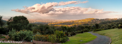 Kirstenbosch Panorama