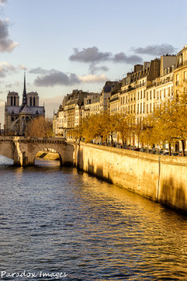 Notre Dame Along The Seine