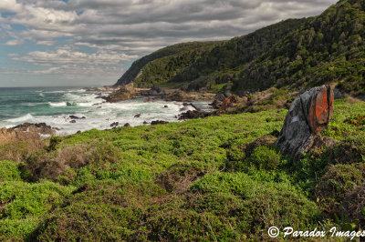 Tsitsikamma Coast