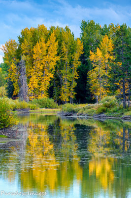Snake River Fall Color