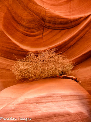 Sagebrush Altar