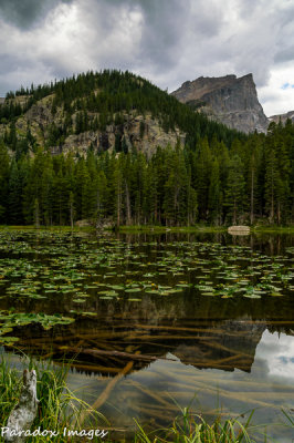 Fern Lake Afternoon