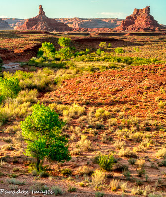 Valley Of The Gods Sunset