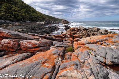 Lichen Rock - Tsitsikamma National Park