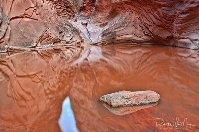 North Canyon Reflection