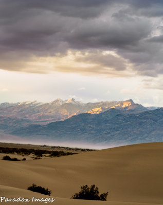 Dune Sunset