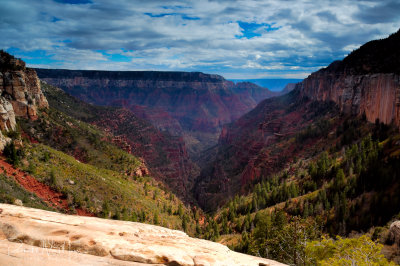 View from the Coconino Overlook - North Kaibab trail