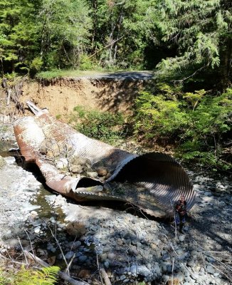 Olympic Peninsula Adventure Ride- Impassable Road Washout, HUGE Culvert Pipe